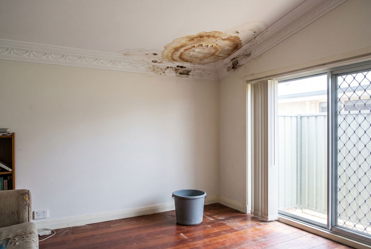Brown water stain on a plaster ceiling with a bucket catching drips below