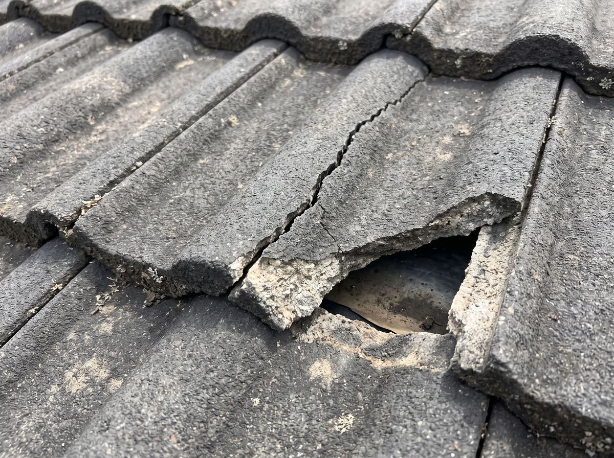 A cracked concrete roof tile with a broken corner among intact tiles